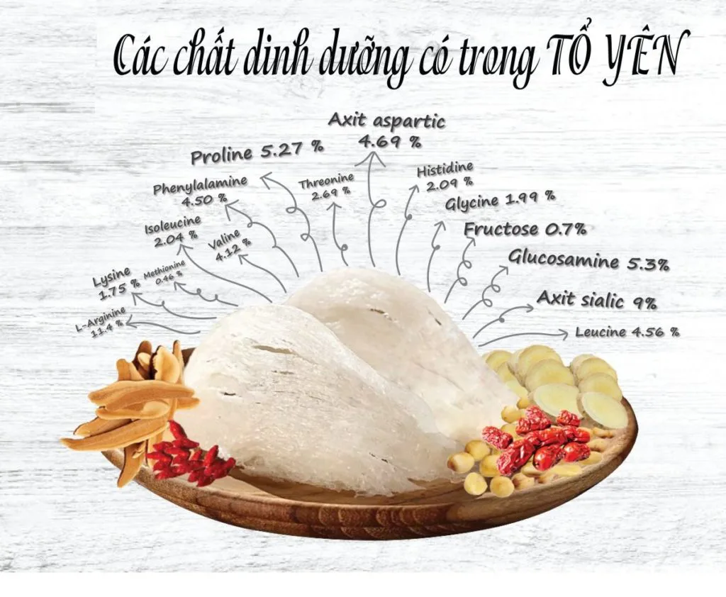 Tổ yến và những lợi ích tuyệt vời